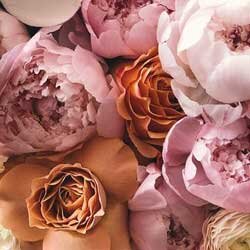 A close up of a bunch of pink peonies at a Pennsylvania bridal show.